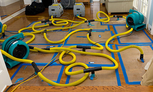 Professional Crawl Space Water Removal technician working in Decatur, MI